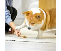 Juguete Masticable GiGwi Para Perros Pequeños Con Olor A Pino