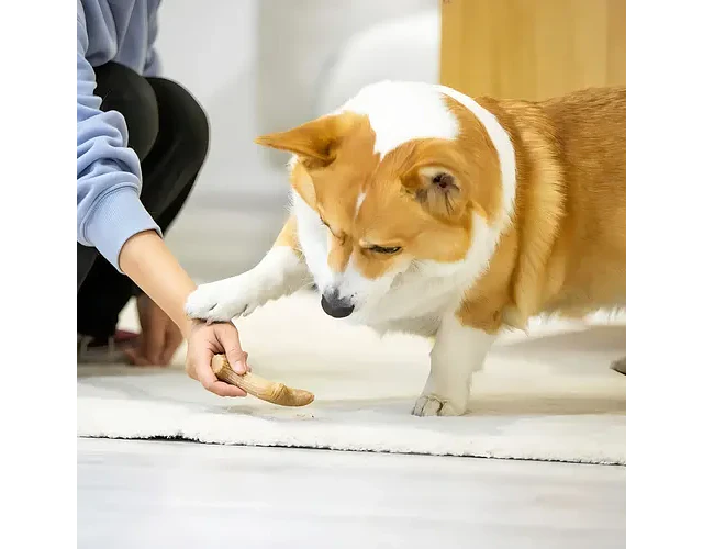 Juguete Masticable GiGwi Para Perros Pequeños Con Olor A Pino