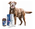 Ircvet Gel Oral Perro/gato - Pharmadiet Frasco X 50 Ml