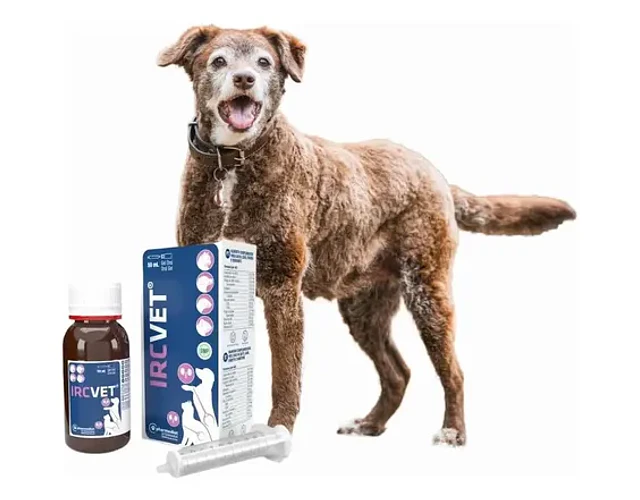 Ircvet Gel Oral Perro/gato - Pharmadiet Frasco X 50 Ml