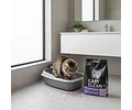 Arena Sanitaria Para Gatos Arena De Tofu Biodegradable 2kg