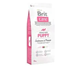 Brit Care Puppy Salmón Grain-free 12kg Cachorros