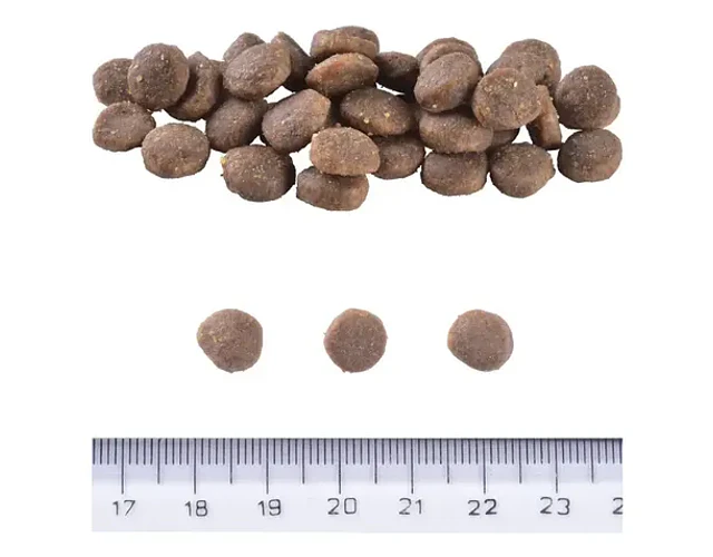 Brit Care Puppy Salmón Grain-free 12kg Cachorros