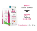 Brit Care Puppy Salmón Grain-free 12kg Cachorros
