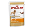 Royal Canin Breed Health Nutrition Poodle 85 G