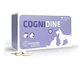 Cognidine 60 Comprimidos