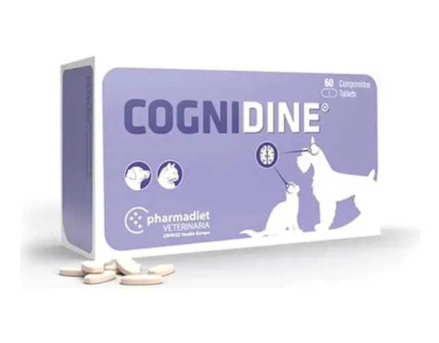 Cognidine 60 Comprimidos
