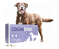 Cognidine 60 Comprimidos