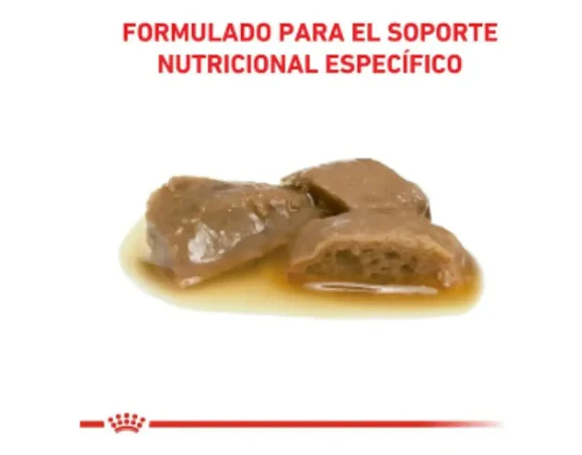 Royal Canin Caja Pouch Renal With Chicken X 12 U Gravy