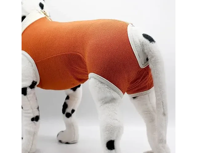 Body Castracion Para Perros Talla 5 De 7.5 A 10 Kgs
