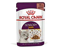 Royal Canin Feline Alimento Pouch Sensory Taste 12 Unidades