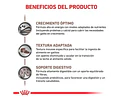 Alimento Royal Canin Gastrointestinal Kitten 400gr