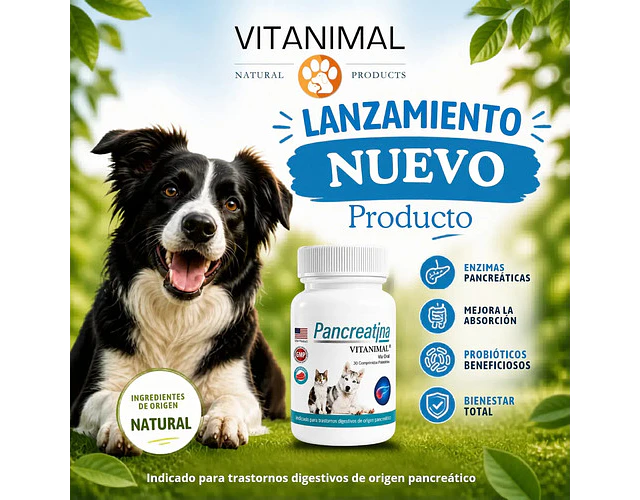 Pancreatina 30 Comprimidos Palatables Para Perros O Gatos