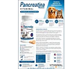 Pancreatina 30 Comprimidos Palatables Para Perros O Gatos