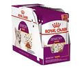 Royal Canin Feline Alimento Pouch Sensory Taste 12 Unidades