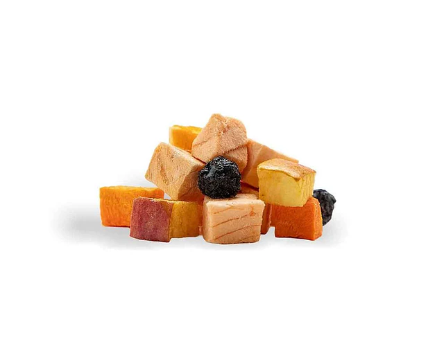 Tributo Training Liofilizado 70%salmon Y Frutas 100g