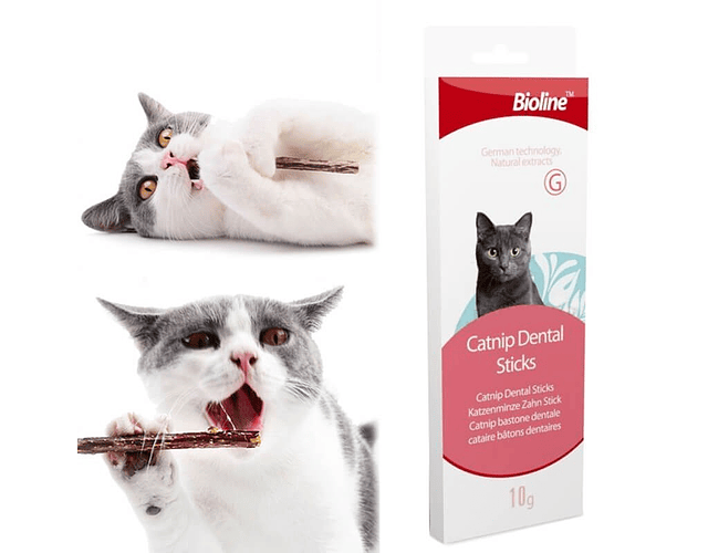 Catnip Dental