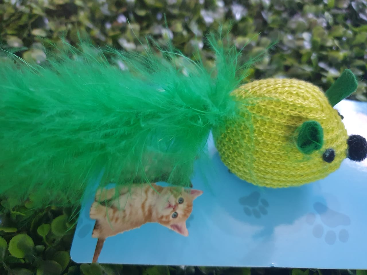 Raton tela con  pluma