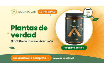 Plantas de verdad: el hábito de los que viven más