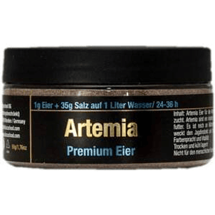 Discusfood - Brine Shrimps Premium Eggs