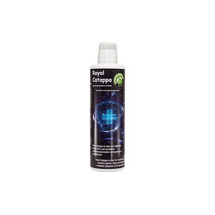 Discusfood - Catappa Royal