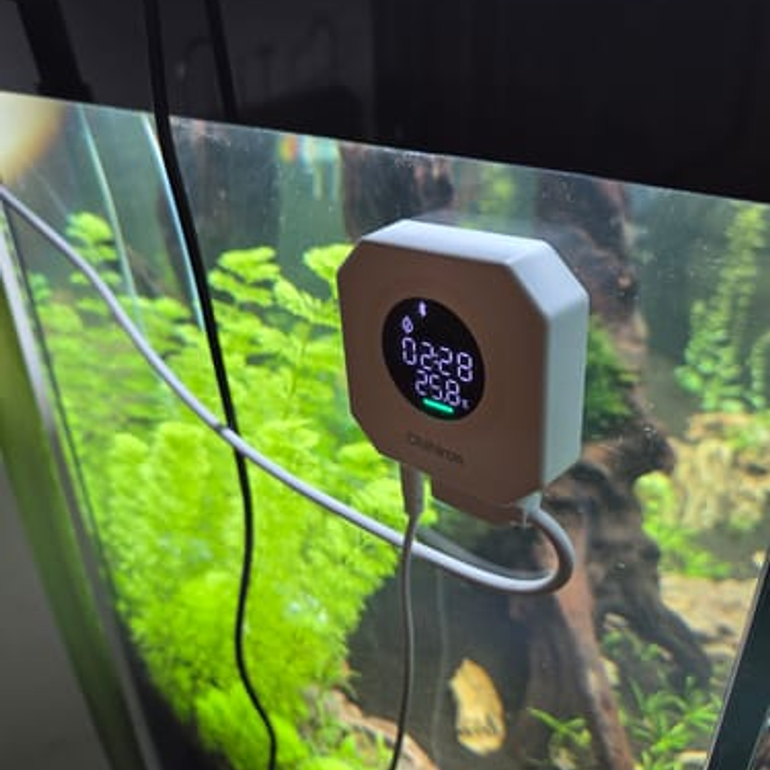 Chihiros - Doutor 5 5