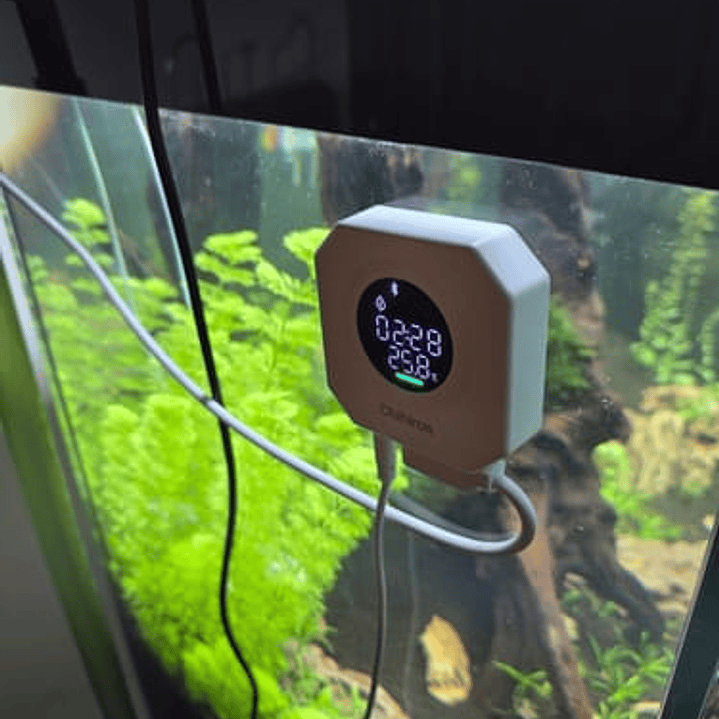 Chihiros - Doutor 5 5