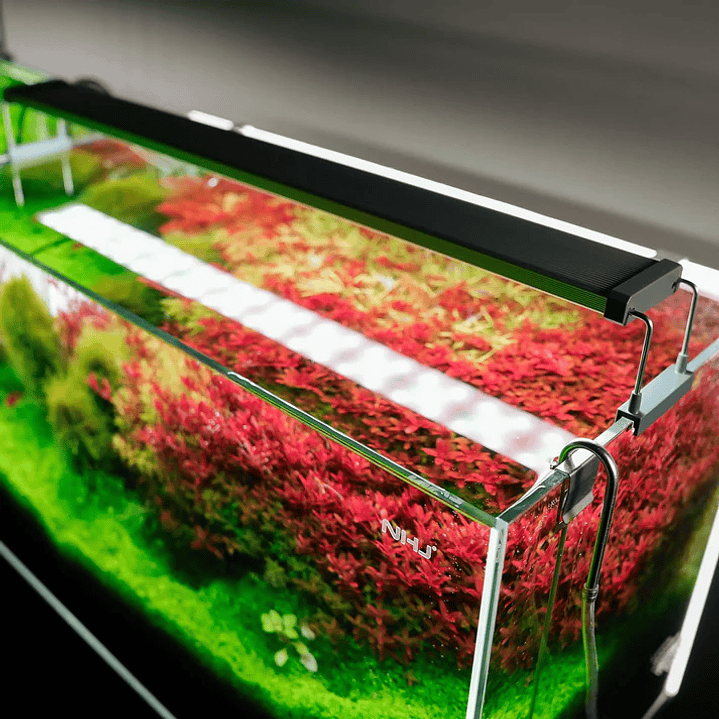 Chihiros - Luz LED Série B 20cm-120cm 5