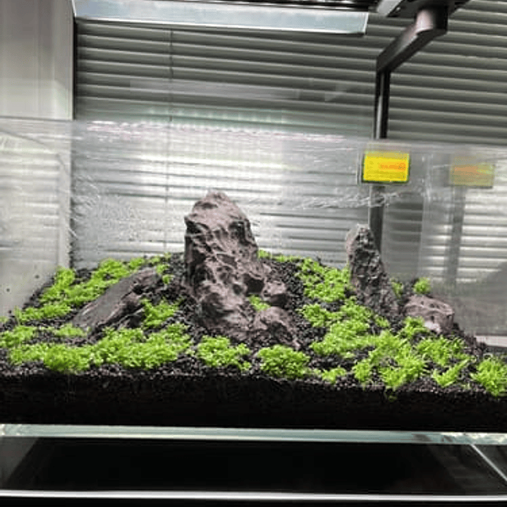 Chihiros - CII RGB 2