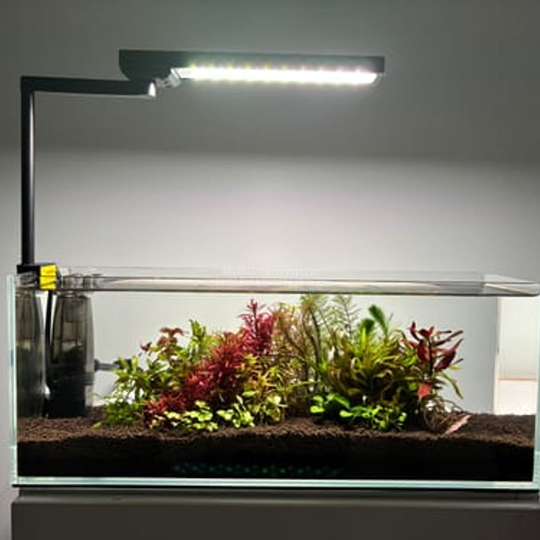 Chihiros - CII RGB 4