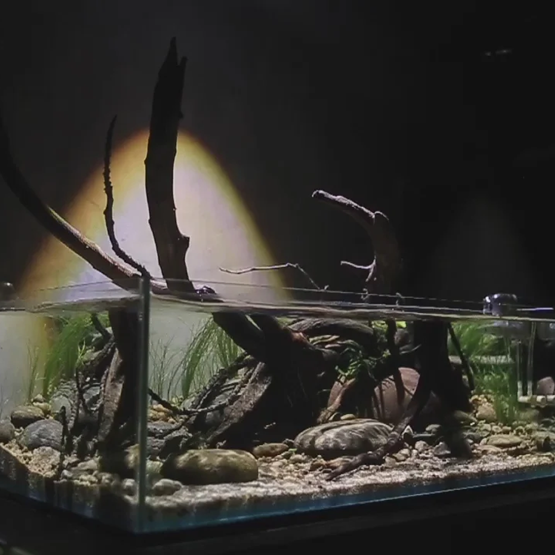 Chihiros - Z Light / Versão Submersível 2