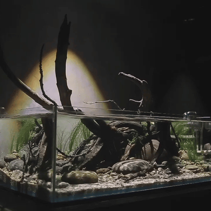 Chihiros - Z Light / Versão Submersível 2