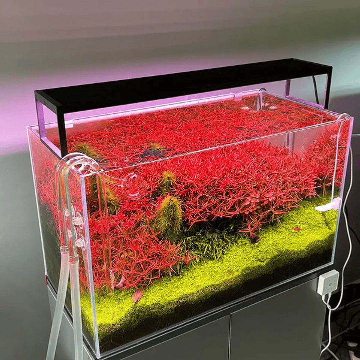 Chihiros - WRGB II Slim  5