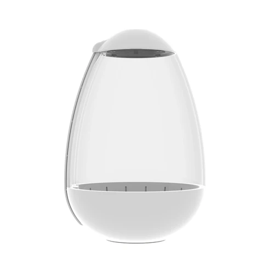 Chihiros - Tiny Terrarium Egg 2