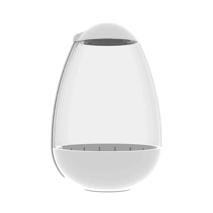 Chihiros - Tiny Terrarium Egg 2