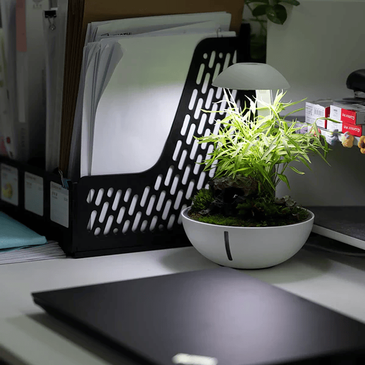 Chihiros - Tiny Terrarium Egg 4