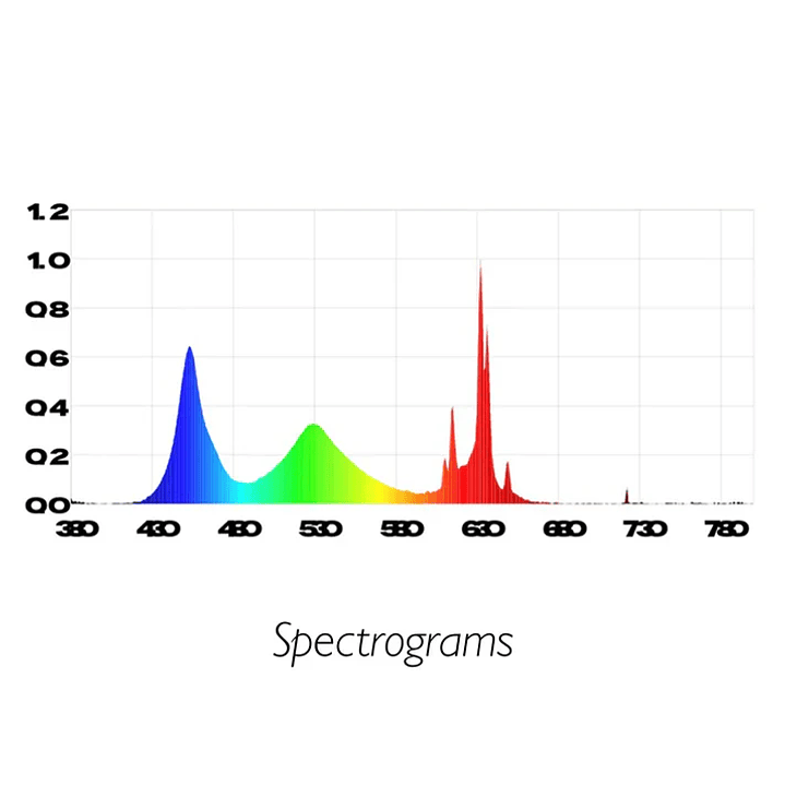 Chihiros - Tiny Terrarium Egg 6