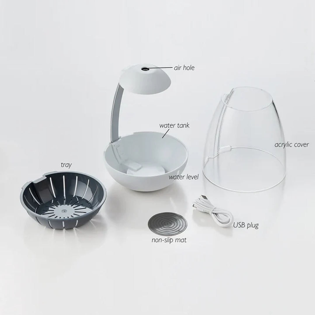 Chihiros - Tiny Terrarium Egg 7