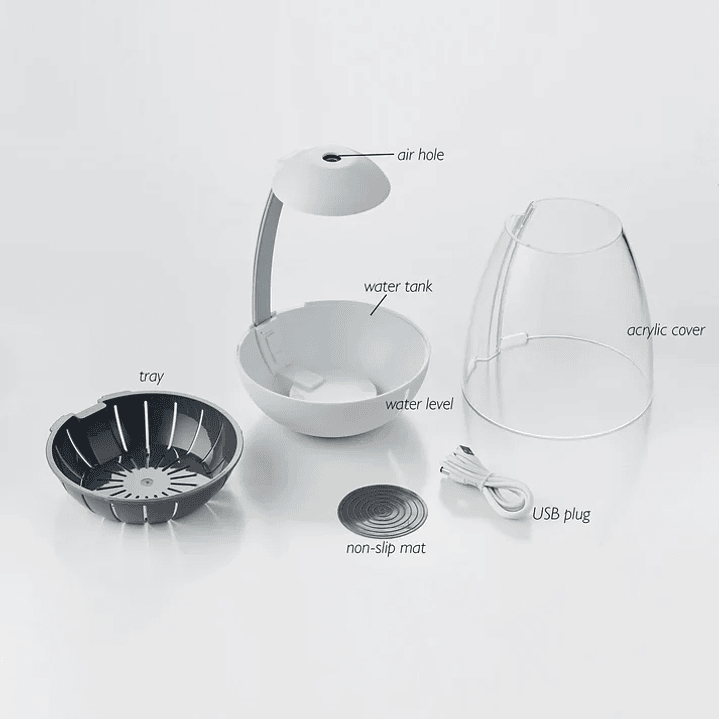 Chihiros - Tiny Terrarium Egg 7