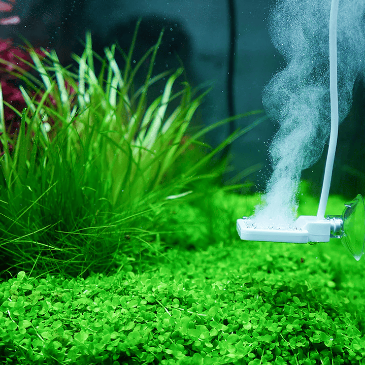 Chihiros Doctor Mate (controlo Bluetooth + Controlo do hub Wi-Fi) para Nano Tank 4