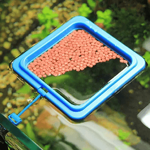 Alimentador Flutuante Quadrado - 