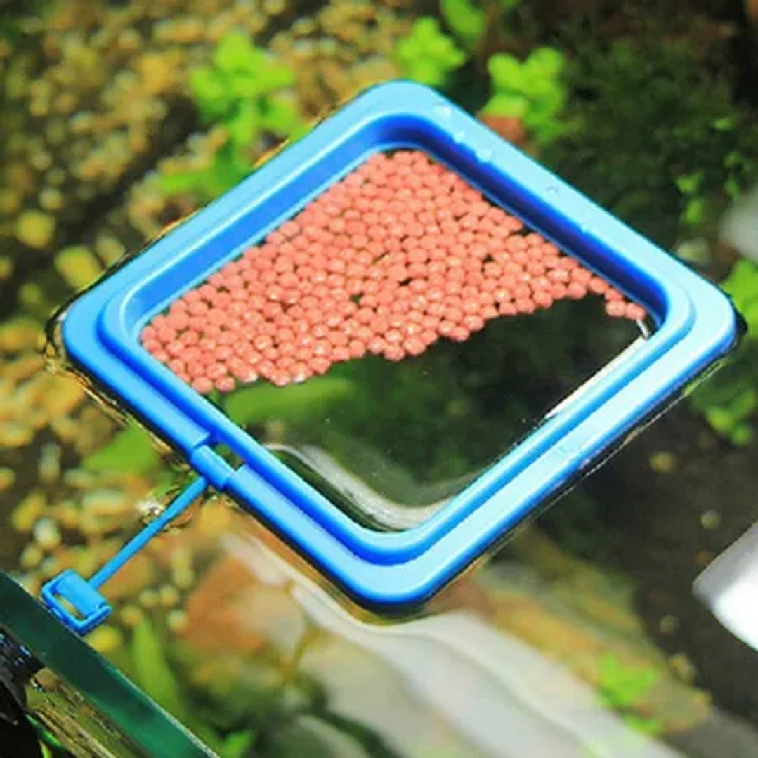 Alimentador Flutuante Quadrado - 