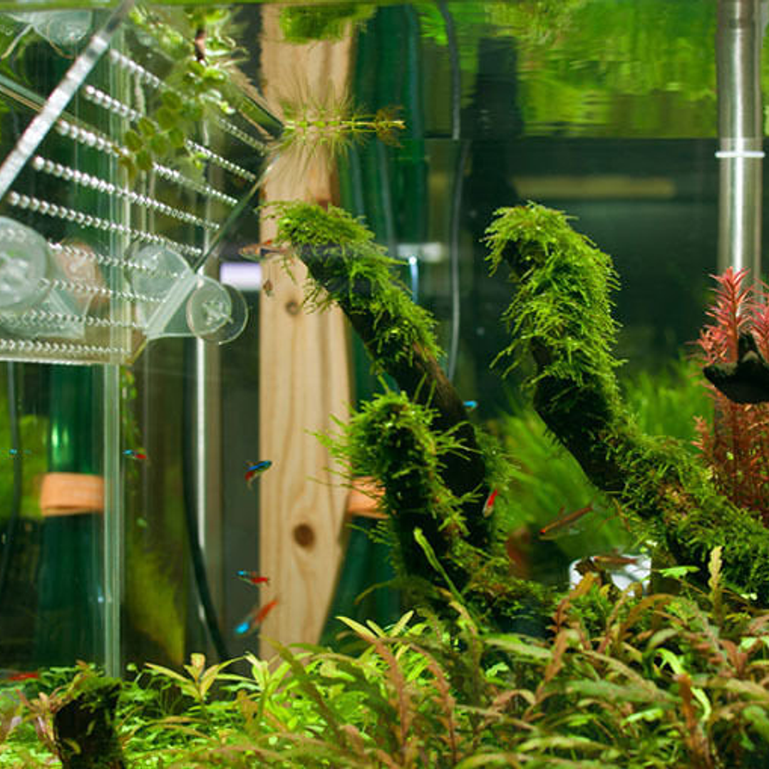 Ventosa separadora 2un. 4