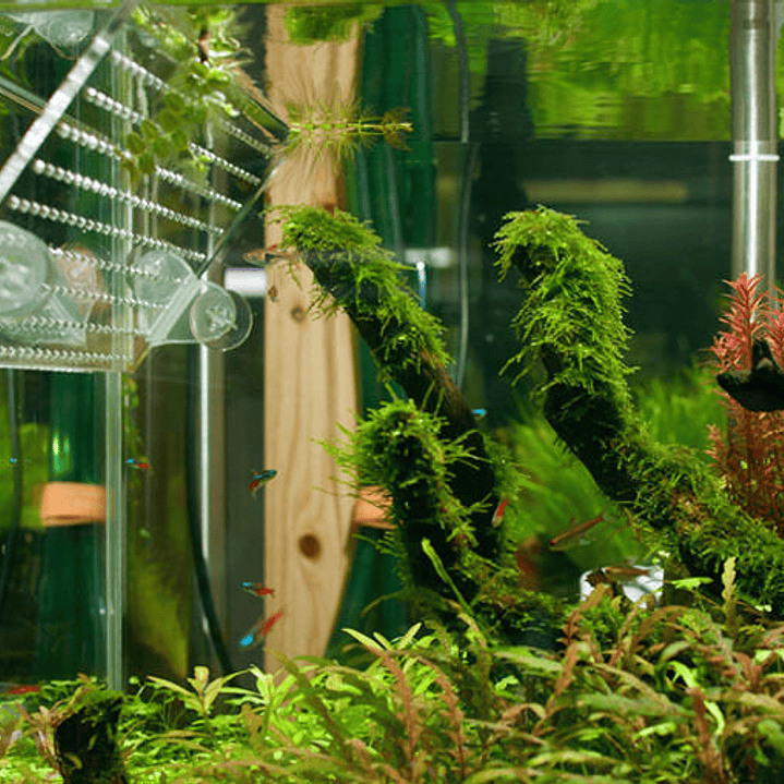 Ventosa separadora 2un. 4