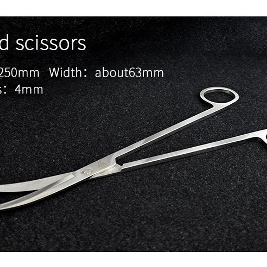 Tesoura Curva WeekAqua 2