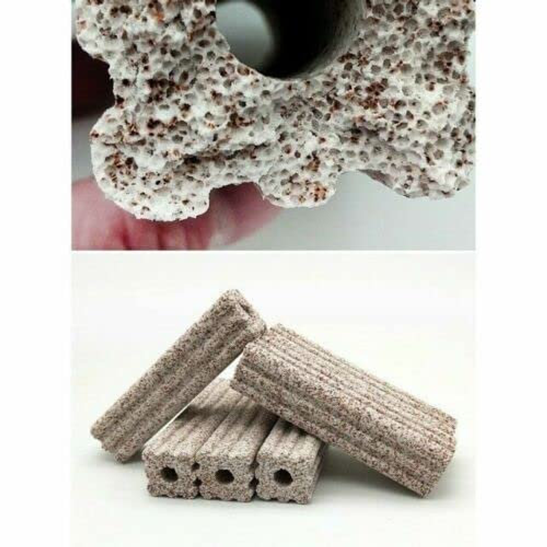 Bacteria House - Cerâmica Tam.M ( 1und ) 2