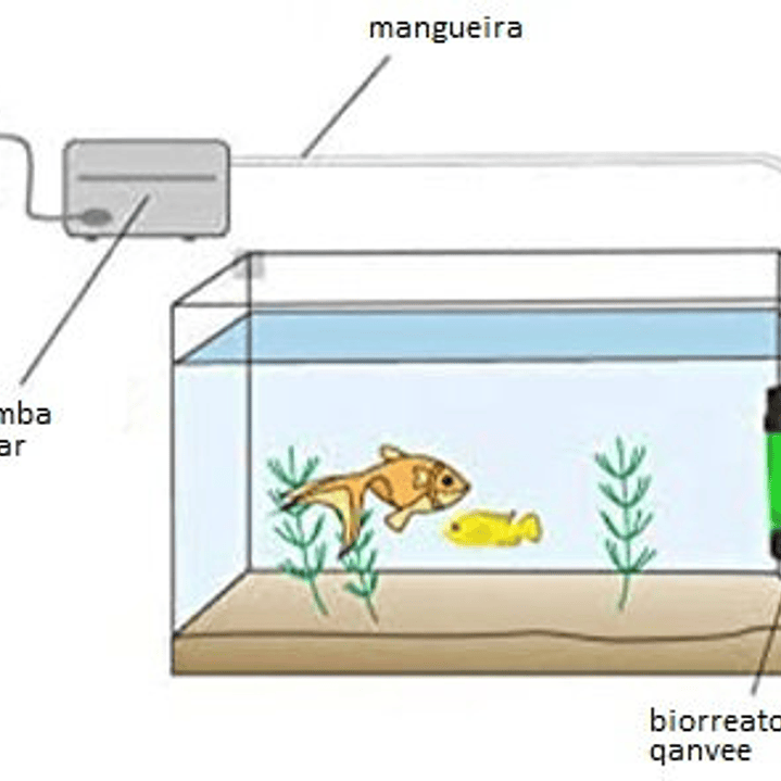 Qanvee LH-300 Biorreator Cultivador de Bactérias 2