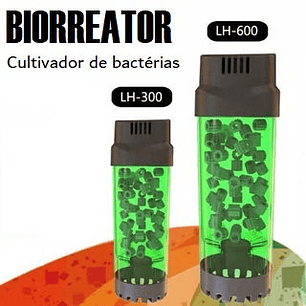 Qanvee LH-600 Biorreator Cultivador de Bactérias