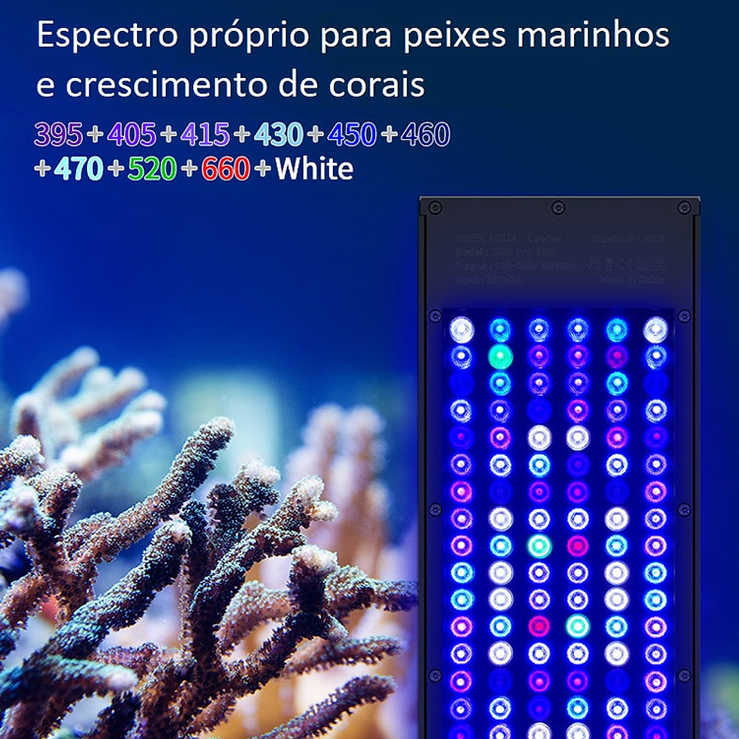 WeekAqua Z-Series Z400Sea-Z 9