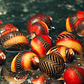 Caracol Picasso - VITTINA WAIGIENSIS - Thumbnail 1